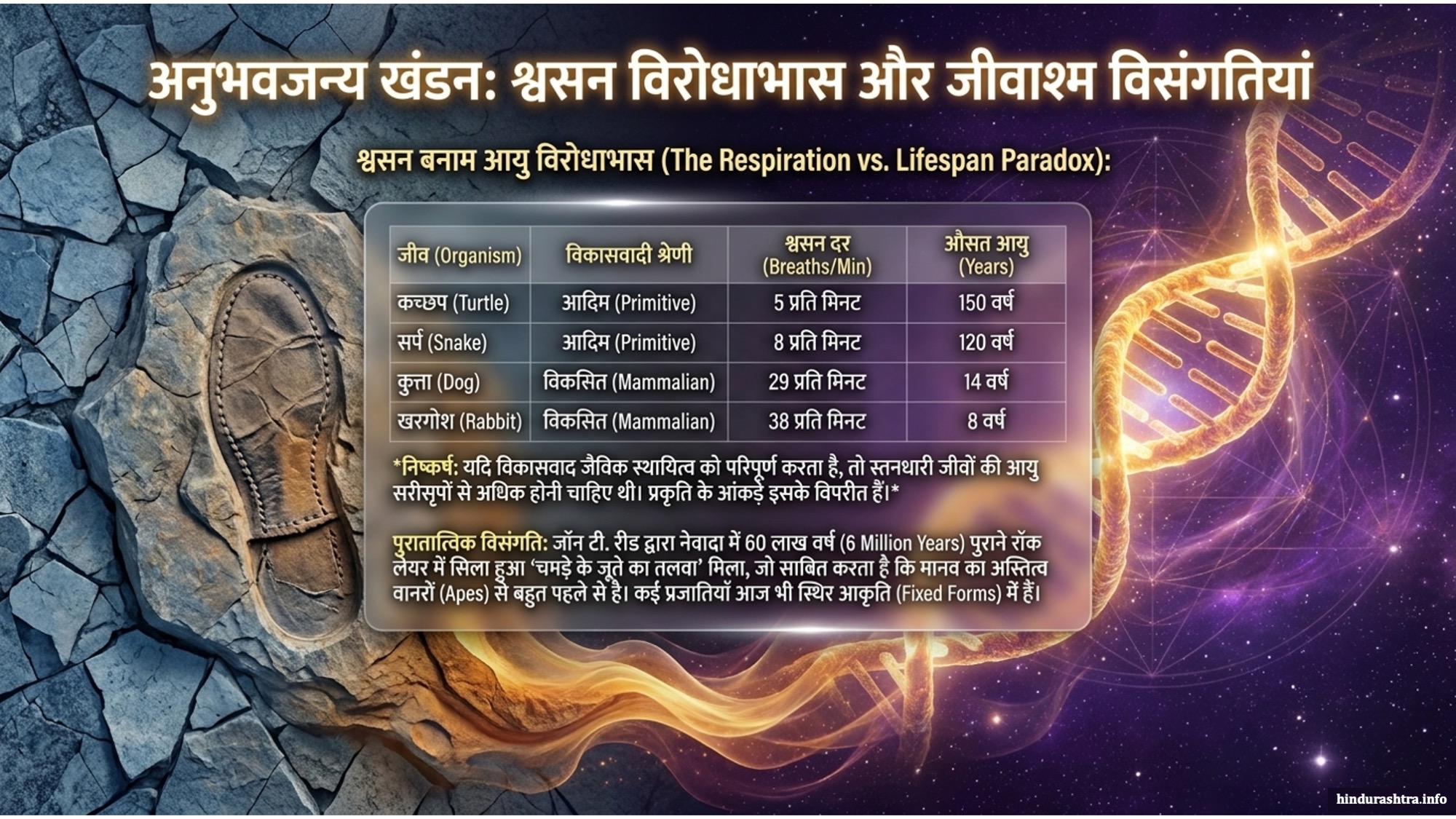 श्वसन-विरोधाभास-और-जीवाश्म-विसंगतियाँ